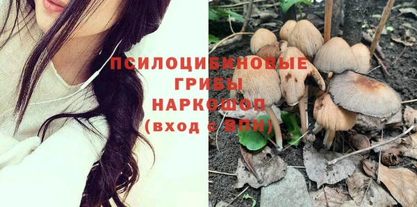 2c-b Медвежьегорск