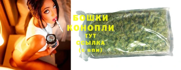 молекула духа Медногорск