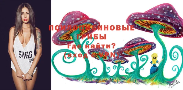 скорость Мегион