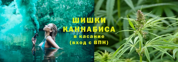 прущая мука Михайлов