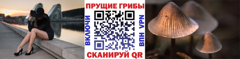 ОМГ ОМГ сайт  Новомичуринск  Галлюциногенные грибы ЛСД 