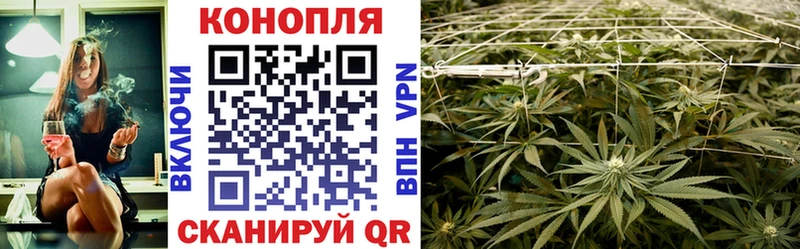 Каннабис OG Kush  Новомичуринск 